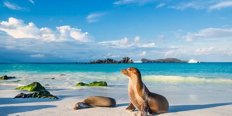 Three Breathtaking Natural Destinations Around the World